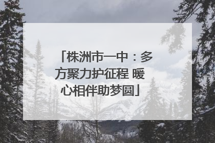 株洲市一中：多方聚力护征程 暖心相伴助梦圆