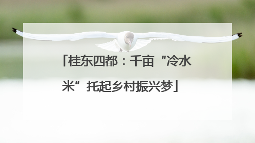桂东四都：千亩“冷水米”托起乡村振兴梦