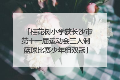 桂花树小学获长沙市第十一届运动会三人制篮球比赛少年组双冠