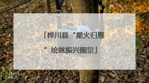 桦川县“星火归雁”绘就振兴图景