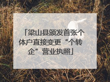 梁山县颁发首张个体户直接变更“个转企”营业执照