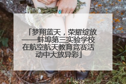 梦翔蓝天，荣耀绽放——蚌埠第三实验学校在航空航天教育竞赛活动中大放异彩