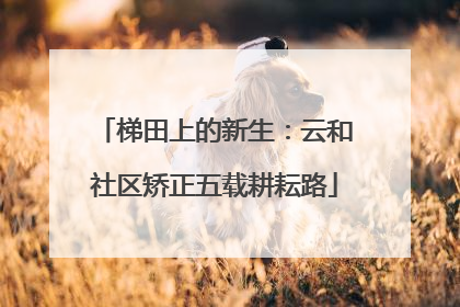 梯田上的新生：云和社区矫正五载耕耘路
