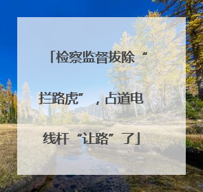 检察监督拔除“拦路虎”，占道电线杆“让路”了