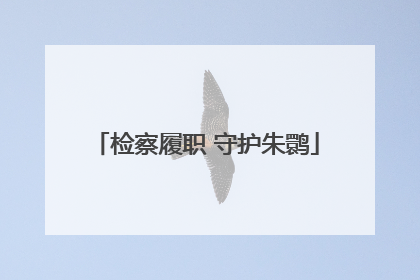 检察履职 守护朱鹮