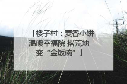 楼子村：麦香小饼温暖幸福院 撂荒地变“金饭碗”