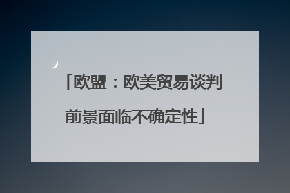 欧盟：欧美贸易谈判前景面临不确定性