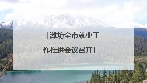 潍坊全市就业工作推进会议召开