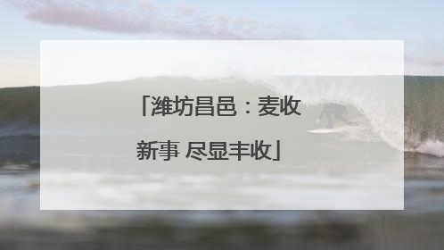 潍坊昌邑：麦收新事 尽显丰收