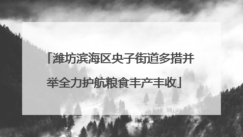 潍坊滨海区央子街道多措并举全力护航粮食丰产丰收