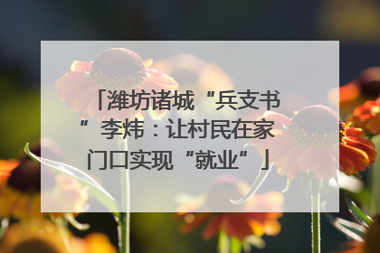 潍坊诸城“兵支书”李炜：让村民在家门口实现“就业”
