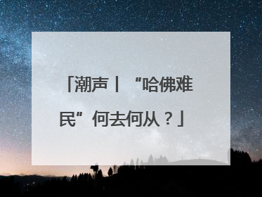 潮声丨“哈佛难民”何去何从？