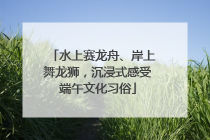 水上赛龙舟、岸上舞龙狮，沉浸式感受端午文化习俗
