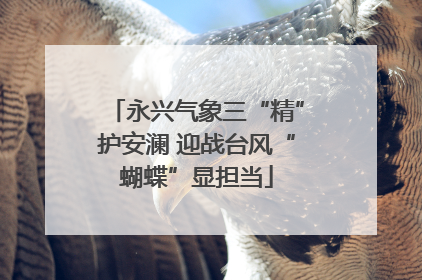 永兴气象三“精”护安澜 迎战台风“蝴蝶”显担当