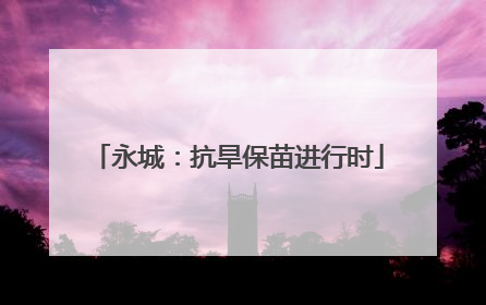 永城：抗旱保苗进行时