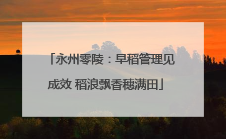 永州零陵：早稻管理见成效 稻浪飘香穗满田