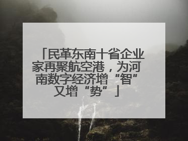 民革东南十省企业家再聚航空港，为河南数字经济增“智”又增“势”