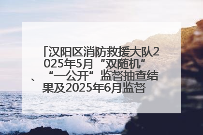 汉阳区消防救援大队2025年5月“双随机”、“一公开”监督抽查结果及2025年6月监督抽查任务公示