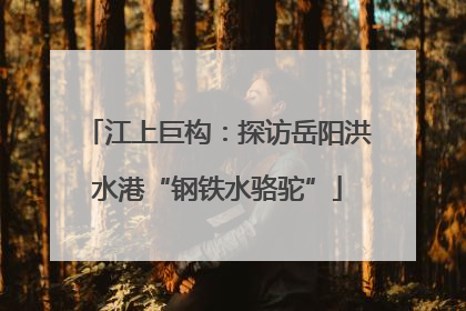 江上巨构：探访岳阳洪水港“钢铁水骆驼”