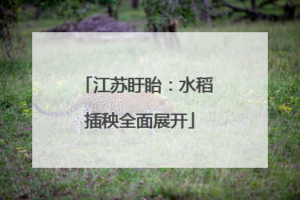 江苏盱眙：水稻插秧全面展开