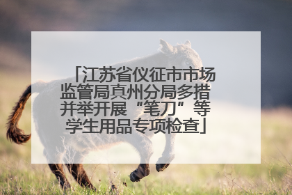 江苏省仪征市市场监管局真州分局多措并举开展“笔刀”等学生用品专项检查