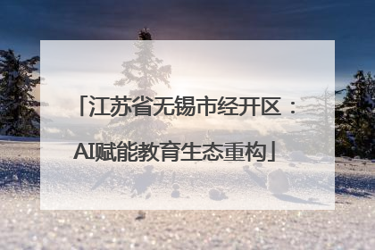 江苏省无锡市经开区：AI赋能教育生态重构
