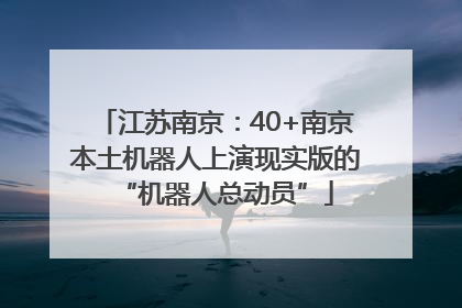 江苏南京：40+南京本土机器人上演现实版的“机器人总动员”