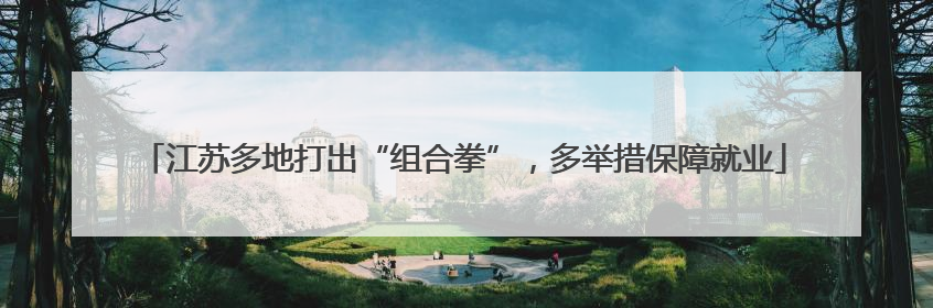 江苏多地打出“组合拳”，多举措保障就业