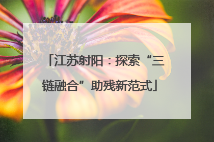 江苏射阳：探索“三链融合”助残新范式