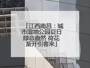 江西南昌：城市湿地公园夏日绿意盎然 荷花渐开引客来