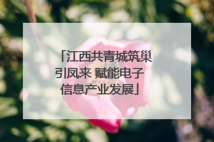 江西共青城筑巢引凤来 赋能电子信息产业发展