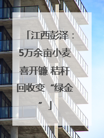 江西彭泽：5万余亩小麦喜开镰 秸秆回收变“绿金”