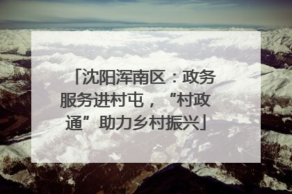 沈阳浑南区：政务服务进村屯，“村政通”助力乡村振兴