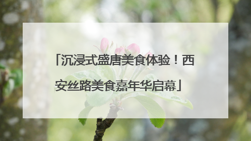 沉浸式盛唐美食体验！西安丝路美食嘉年华启幕