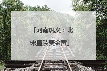 河南巩义：北宋皇陵麦金黄