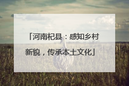 河南杞县：感知乡村新貌，传承本土文化