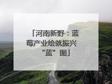 河南新野：蓝莓产业绘就振兴“蓝”图