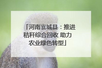 河南襄城县：推进秸秆综合回收 助力农业绿色转型