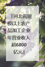 河北省规模以上农产品加工企业年营业收入超6800亿元