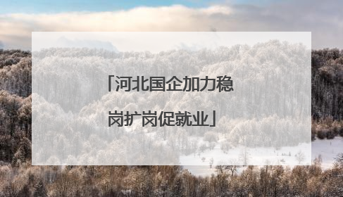 河北国企加力稳岗扩岗促就业