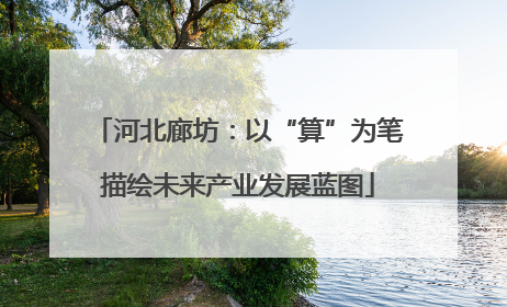 河北廊坊：以“算”为笔描绘未来产业发展蓝图
