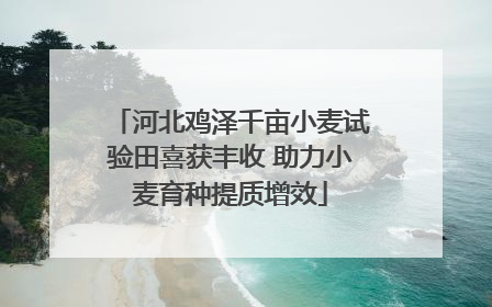 河北鸡泽千亩小麦试验田喜获丰收 助力小麦育种提质增效