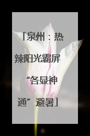 泉州：热辣阳光霸屏 “各显神通”避暑