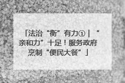 法治“衡”有力①｜“亲和力”十足！服务政府烹制“便民大餐”