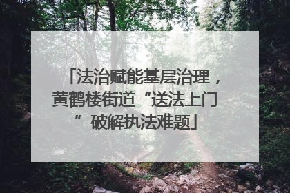 法治赋能基层治理，黄鹤楼街道“送法上门”破解执法难题