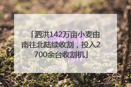 泗洪142万亩小麦由南往北陆续收割，投入2700余台收割机