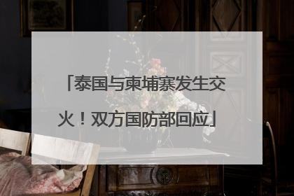 泰国与柬埔寨发生交火！双方国防部回应