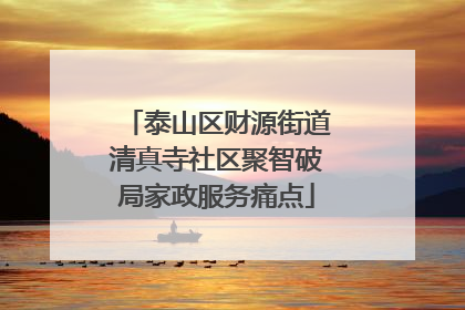 泰山区财源街道清真寺社区聚智破局家政服务痛点