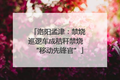 洛阳孟津：禁烧巡逻车成秸秆禁烧“移动先锋官”