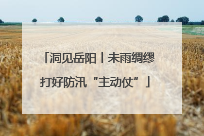 洞见岳阳丨未雨绸缪 打好防汛“主动仗”